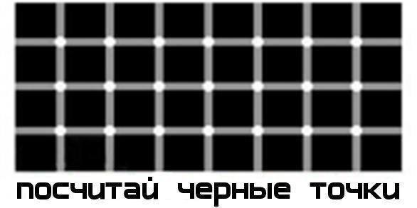 ? ,  ! - 24  2016  08:58