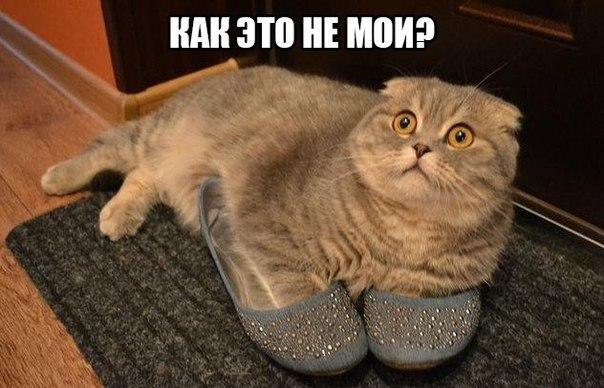  ! - 1  2016  06:32