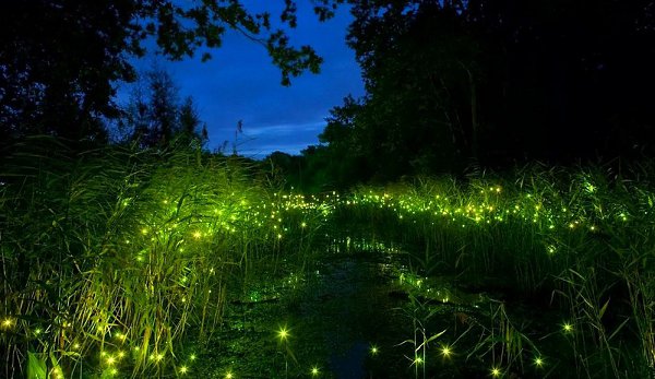  ! - 12  2016  23:24 - 6