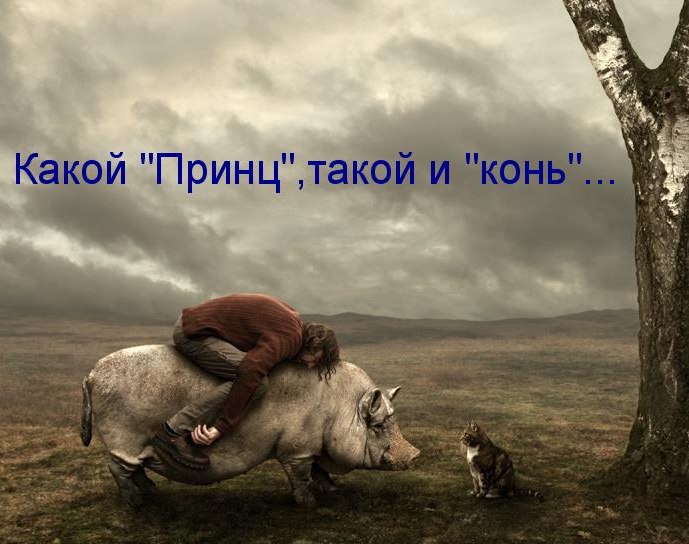 Лера - 10 августа 2016 в 22:14