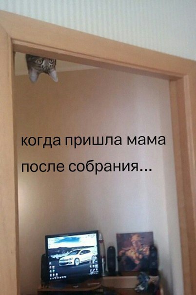  -  - 8  2016  22:24