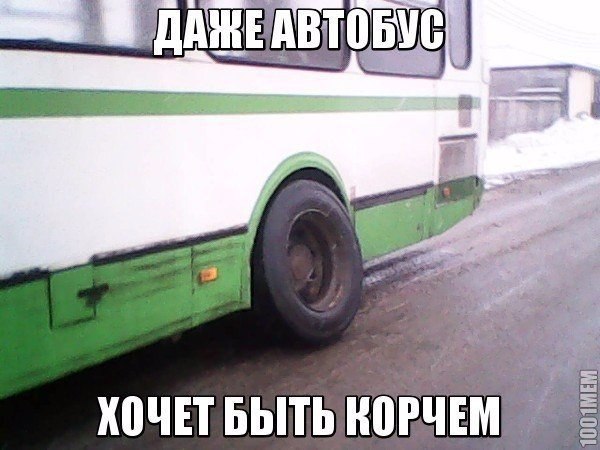    - 6  2016  19:31