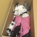 ���� ������, ������ - ��������� 16 ��� 2016 � ������ ������ ��������