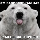  , -, 54  -  22  2016    