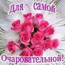 ���� �����, ������ ��� - ��������� 13 ����� 2016 � ������ ���� ����������