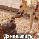 ���� ������, ������, 64 ���� - ��������� 13 ���� 2016 � ������ ������ ��������