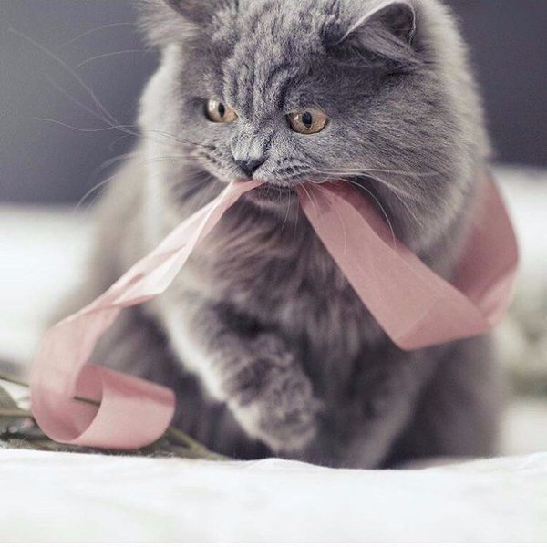       - 28  2016  04:30 - 2