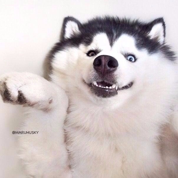     !) - 4