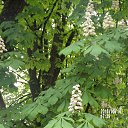 ���� Sveta, ������� - ��������� 23 ��� 2016 � ������ ���������