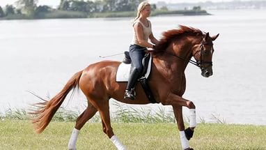 Верховая езда - это что-то сказочное! Ничто не может сравниться с ощущением полета, когда ты летишь ... - 5