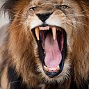 ���� �������, ��������, 51 ��� - ��������� 29 ���� 2016 � ������ ���� ����������
