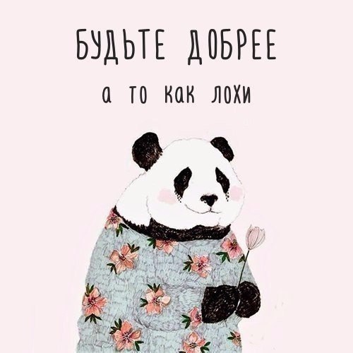   - 6  2016  16:30