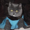 ���� �������, ������ - ��������� 7 ���� 2016 � ������ ���� ����������