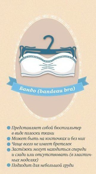 Гид по такой важной части женского гардероба. Бюстгальтеры. - 4