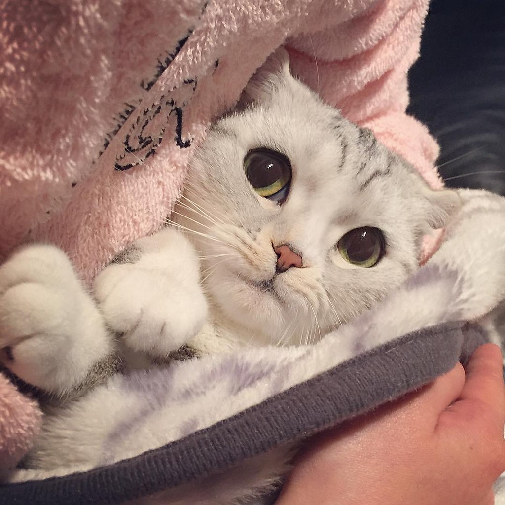  -     :3 - 7