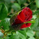 ���� ������, ����������� - ��������� 5 �������� 2016 � ������ ������ ��������