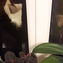 ���� ��������, ������, 51 ��� - ��������� 30 ������ 2016 � ������ ���� ����������