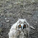 ���� Helena, ��������, 48 ��� - ��������� 29 ����� 2016 � ������ ������ ��������