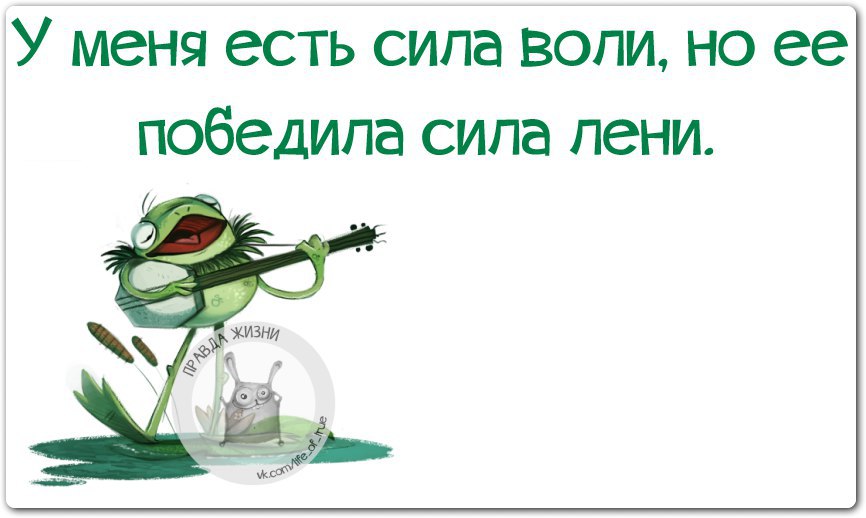   - 21  2016  13:46