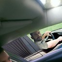 ���� ����, �����-���������, 40 ��� - ��������� 30 ������� 2016