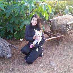 ���� �����, �����������, 45 ��� - ��������� 31 ����� 2016