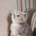 ���� Helena, ������, 52 ���� - ��������� 1 ���� 2016 � ������ ���� ����������