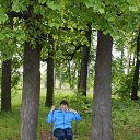 �������� �� ������� ���� �� ������� ������� 2016�