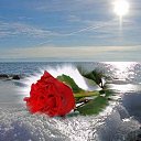  Anatoly, , 52  -  17  2016    