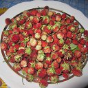 ���� �������, ������ - ��������� 5 ��� 2016 � ������ ������� ���� 2015�