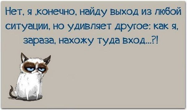    - 23  2016  13:14