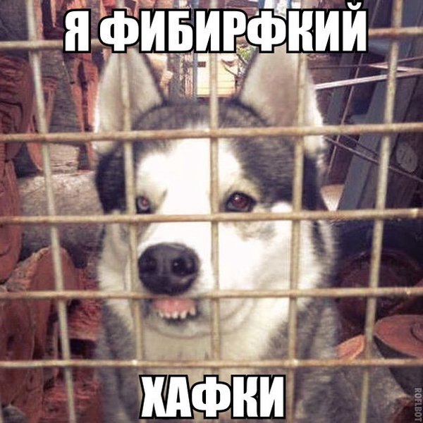    :D - 19  2016  00:34