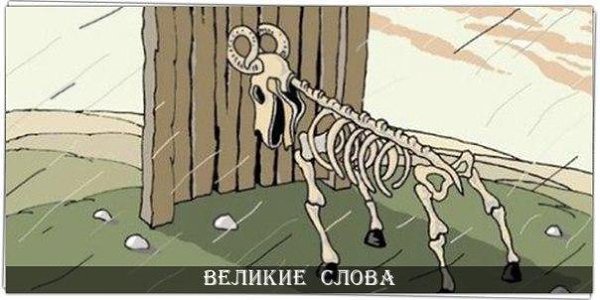 В жизни надо быть упёртым, но не бараном. © Бернард Шоу