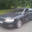 ���� �������, �����, 56 ��� - ��������� 8 ���� 2016 � ������ ������ ��������