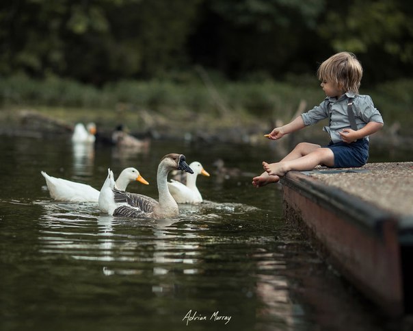     Adrian C. Murray - 9