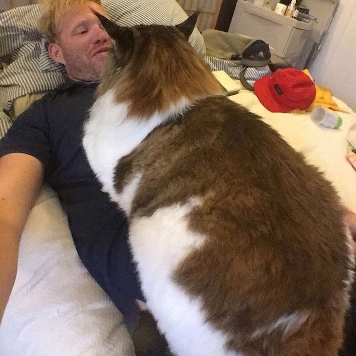    -: 13- - .   -   ... - 8
