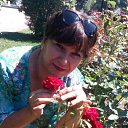 ���� �������, ������-��-����, 52 ���� - ��������� 1 �������� 2016 � ������ ���� ����������