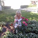 ���� �����, �����������, 61 ��� - ��������� 1 ���� 2016 � ������ ���������� ������