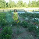 ���� �������, ������, 59 ��� - ��������� 31 ������� 2016 � ������ �� ��� ��