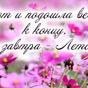  ,  -  3  2016    