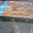 ���� Aleksandr, ������������, 50 ��� - ��������� 13 ������� 2016 � ������ ���� ����������