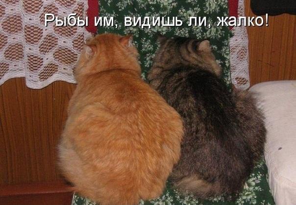 ������ - ��������� - 28 ����� 2016 � 12:26