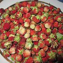 ���� �������, ������ - ��������� 5 ��� 2016 � ������ ������� ���� 2015�