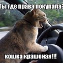 ���� Alekcandr, ������ - ��������� 20 ��� 2016 � ������ ���� ����������