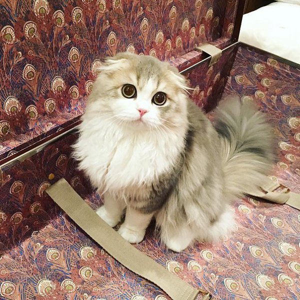   :3 - 5