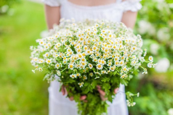 ������ ��� ������ �������! ���� ������� ������� ������, � ����� ���� ��� ���� ��� ����� �� �������� ... - 2