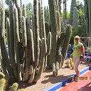 ���� �������, �������� - ��������� 29 ��� 2016 � ������ �������� 2016 ���