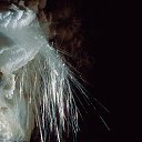 ���� Eric, ����, 61 ��� - ��������� 29 ������ 2016 � ������ �The beauties in the belly of the earth�