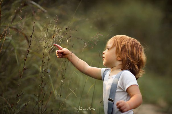     Adrian C. Murray - 5