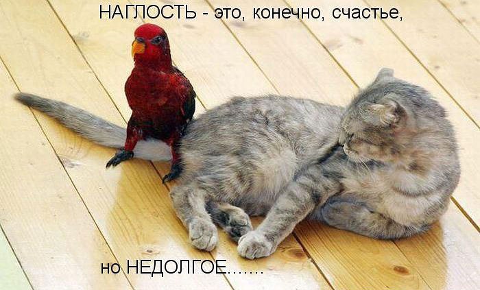 .https://fotostrana.ru/away?to=/sl/kxC2 - 29  2016  19:14