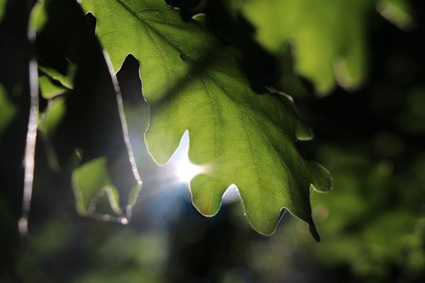 ��� ������ ��� - 13 ���� 2016 � 12:52 - 5